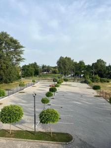 a parking lot with trees in the middle of it at Lux Penthouse Balatonlelle in Balatonlelle