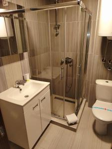 a bathroom with a shower and a sink and a toilet at Stefana Prvovencanog-Kraljevi cardaci in Kopaonik
