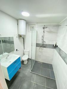 a bathroom with a shower and a toilet and a sink at Danielle et octave in Clermont