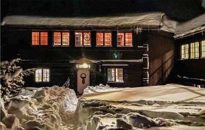 Το Amazing Home In Åmotsdal With Kitchen τον χειμώνα