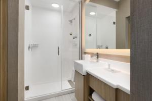 SpringHill Suites by Marriott Dothan的一间浴室