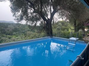 a blue swimming pool with a tree and a chair at Mon Reve House in Corfu