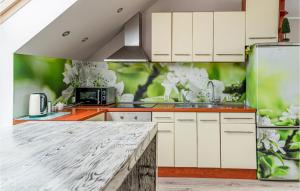 a kitchen with white cabinets and a green wall at 2 Bedroom Amazing Home In Ploskinia in Płoskinie