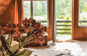 Vonkajšia záhrada v ubytovaní Holiday Home Barczewo Kaplityny Vii
