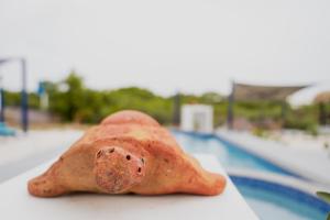 Bazén v ubytování Dushi Vida Country Inn nebo v jeho okolí