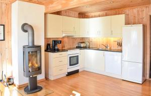 Η κουζίνα ή μικρή κουζίνα στο 3 Bedroom Awesome Home In Åseral