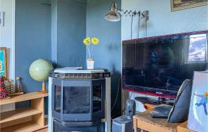 TV a/nebo společenská místnost v ubytování Beautiful Home In Laholm With Kitchen