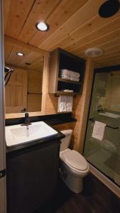 Vannituba majutusasutuses Cozy Cabins With Mountain View 7A