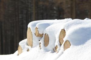 ein Schneehaufen an der Seite eines Zauns in der Unterkunft Talstation in Braunlage