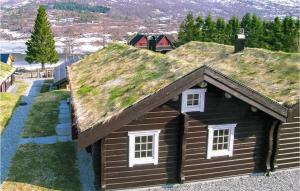 Příroda nedaleko prázdninového domu + 5 fotografií