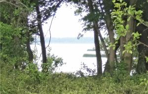 Příroda nedaleko kempu