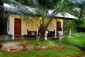 a house with a palm tree in the yard at Lake Forest Lodge in Udawalawe