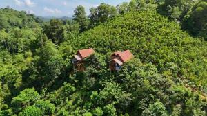 an overhead view of two tree houses in the forest at Dins Nature Villa in Elgiriya