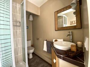 een badkamer met een wastafel, een toilet en een spiegel bij Appartement le Dahu Risoul 1850 in Risoul +37 foto's