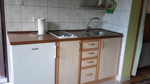 Kuchyň nebo kuchyňský kout v ubytování Pokoje Herta - Domek letniskowy