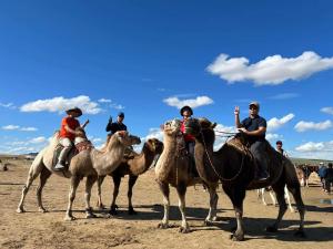 a group of people riding on camels in the desert at Camel Track Guesthouse and Tour Operator LLC in Ulaanbaatar