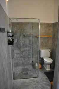 a bathroom with a shower and a toilet at Casa da Nespereira in Aljezur +33 photos