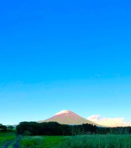 Φωτογραφία από το άλμπουμ του サンルームふじさん σε Nebara