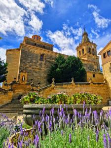 a building with a bunch of flowers in front of it at Casa de la tía Irene in Briñas