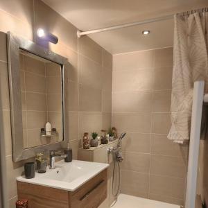 a bathroom with a sink and a mirror at Appartement Cosy en plein centre historique de Fréjus in Fréjus