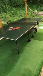 Stolní tenis v ubytování Cabana dintre vai Strungari nebo okolí