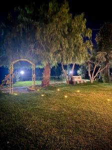 a park at night with an arch and a bench at Appartamento Da Maria in Caulonia Marina