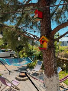 The swimming pool at or close to Casa Del Mar
