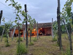 Zahrada ubytování Martv'Elle Boutique Guesthouse