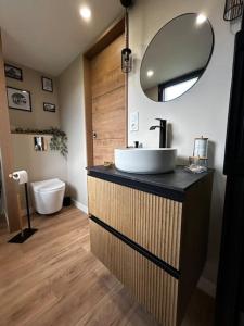 a bathroom with a sink and a mirror at L'arbre de soie Futuroscope Acacia in Vouillé