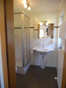 a bathroom with a shower and a sink and a toilet at Haus Wally in Neustift im Stubaital