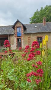 Κήπος έξω από το Ecolodges de Loire & Spa