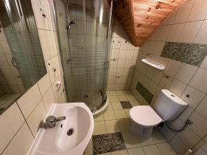 a bathroom with a sink and a toilet and a shower at Odyseusz Jastarnia in Jastarnia +55 photos