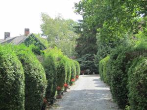 einen von Hecken gesäumten Weg in einem Garten in der Unterkunft Domaine De La Carrauterie by Terre Insolite in Sautin