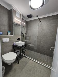a bathroom with a shower and a toilet and a sink at Apartament pe malul Mureșului in Arad