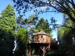 een boomhut midden tussen enkele bomen bij Domaine De La Carrauterie by Terre Insolite in Sautin