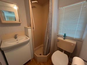a small bathroom with a toilet and a sink at Cabanon dans le jardin in Gaillac