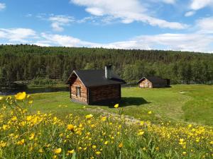 乌茨约基Leppälän vanhatupa rantasaunalla的花田里的两座小木屋