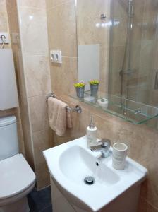 un bagno con lavandino, doccia e WC di Centro de Bilbao, amplio, ascensor a Bilbao