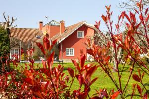 Ogród w obiekcie Villa Salgueiros