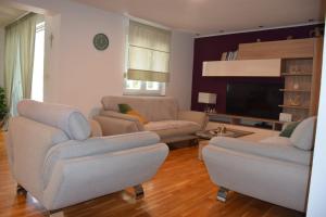 スタリグラードにあるApartman Gropaのソファ2つとテレビのあるリビングルーム