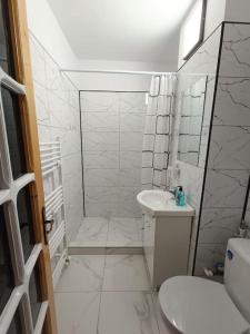ein Badezimmer mit Dusche, Toilette und Waschbecken in der Unterkunft Apartament Alis2011 in Buzău