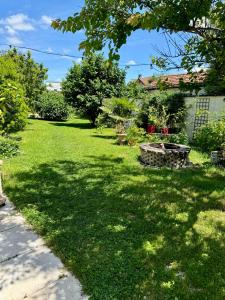 a yard with a large shadow of a tree at maison cosy et chic in Plancy