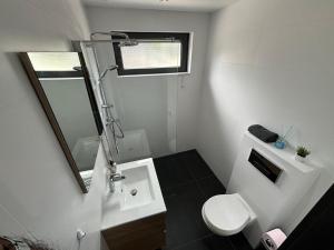 a bathroom with a sink and a toilet and a mirror at Studio Bleu in Obernai