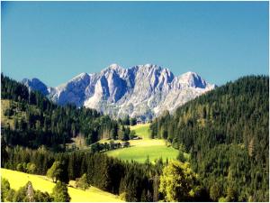 Gallery image of Waldhaus in Sankt Martin am Tennengebirge