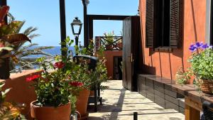 a balcony with potted plants on the side of a building at Casa Moni con Vistas al Mar in Playa de Santiago