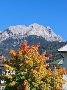 Zdjęcie z galerii obiektu Ferienwohnung Alpenluft w mieście Hochfilzen