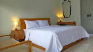 Una cama o camas en una habitación de Aleenka House