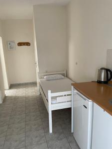 Kuchyň nebo kuchyňský kout v ubytování Aktaion Hotel