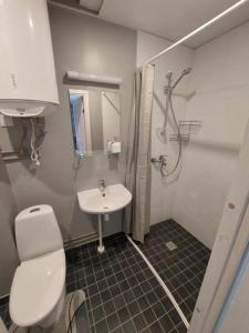 Vannituba majutusasutuses Elva Arbimäe apartment