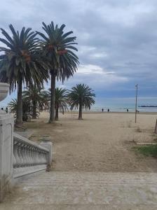 a sandy beach with palm trees on the beach at il Rifugio di Franco e Silvia in San Benedetto del Tronto +18 photos